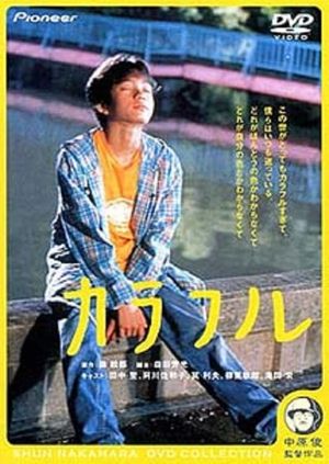 Colourful's poster