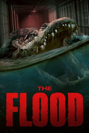 The Flood's poster
