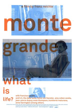 Monte Grande: What Is Life?'s poster image