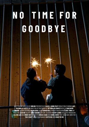 No Time for Goodbye's poster
