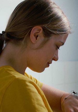 The Girl and the Spider's poster