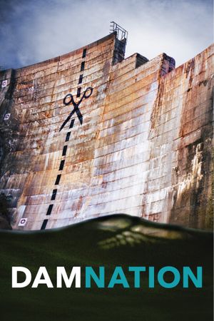 DamNation's poster