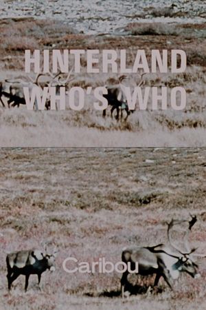 Hinterland Who's Who: Caribou's poster