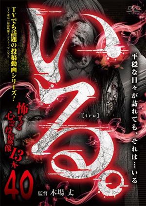 「Iru.」~ Kowasugiru Tōkō Eizō 13-hon ~ Vol.40's poster