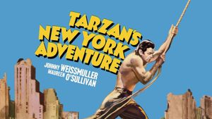 Tarzan's New York Adventure's poster