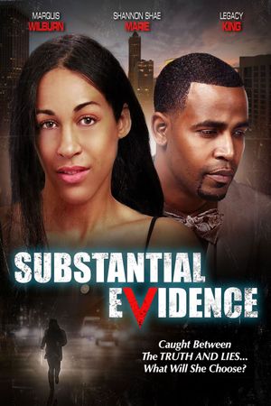 Substantial Evidence's poster image