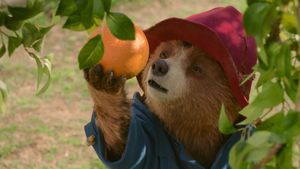 Paddington in Peru's poster