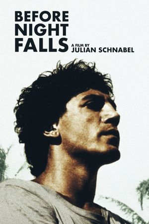 Before Night Falls's poster