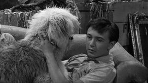 The Shaggy Dog's poster