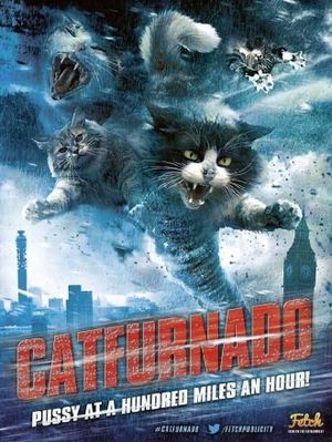 Catnado's poster