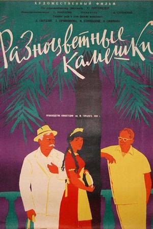 Raznotsvetnyye kameshki's poster