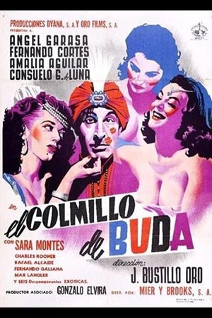 El Colmillo de Buda's poster