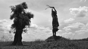 The Turin Horse's poster