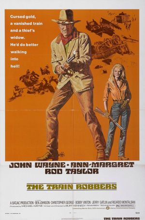 The Train Robbers's poster
