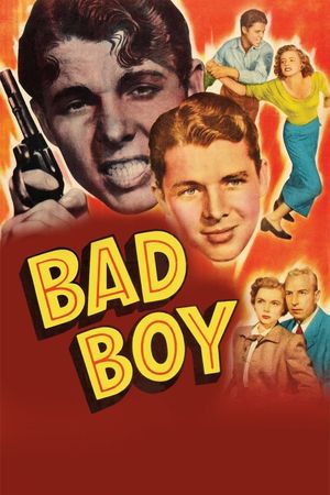 Bad Boy's poster