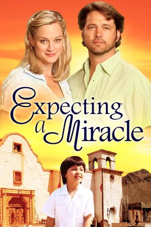 Expecting a Miracle's poster