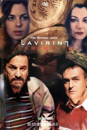 Labyrinth's poster