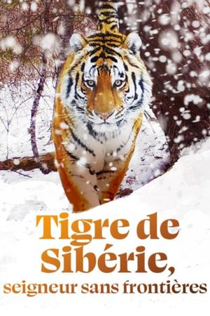 Siberian Tiger, The Secret Kingdom's poster