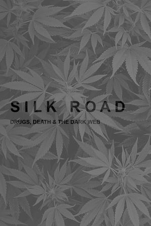 Silk Road: Drugs, Death and the Dark Web's poster
