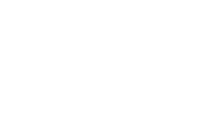 The Sitter's poster