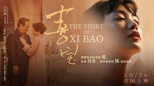 The Story of Xi Bao's poster