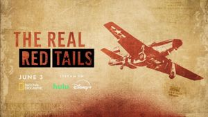 The Real Red Tails's poster