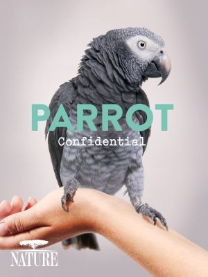 Parrot Confidential's poster