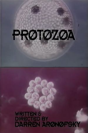 Protozoa's poster