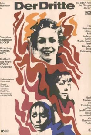 Der Dritte's poster