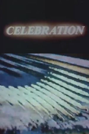 Celebration: I Am All of These's poster