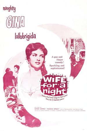 Wife for a Night's poster image