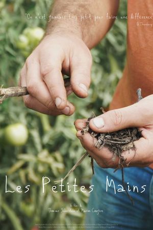 Les petites mains's poster