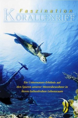 Fascination Coral Reef's poster