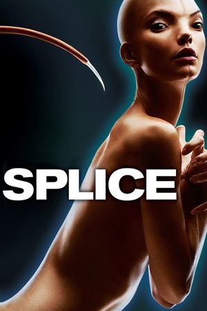 Splice's poster