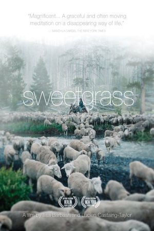 Sweetgrass's poster image