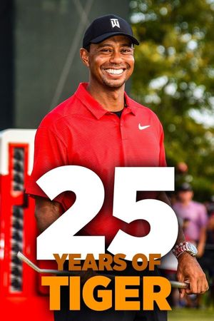 25 Years of Tiger's poster