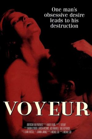 Voyeur's poster