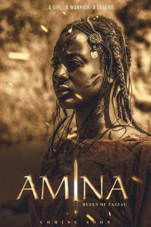 Amina's poster