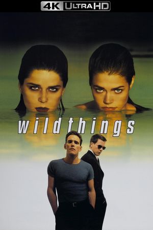 Wild Things's poster