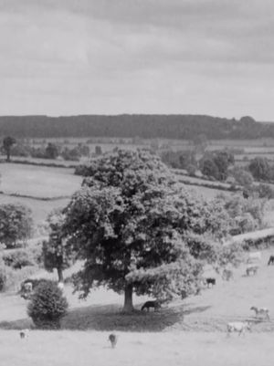 The Chiltern Country's poster