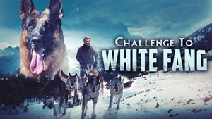 Challenge to White Fang's poster