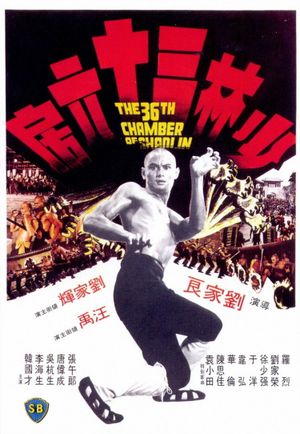 The 36th Chamber of Shaolin's poster