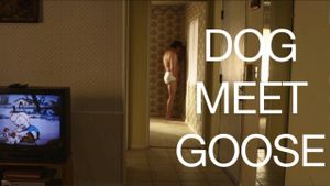 Dog Meet Goose's poster