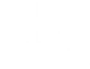 Wild Little Love's poster