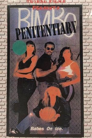 Bimbo Penitentiary's poster