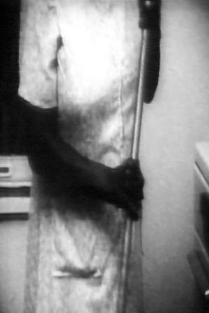 Fannie's Film's poster
