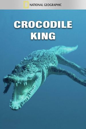 Crocodile King's poster