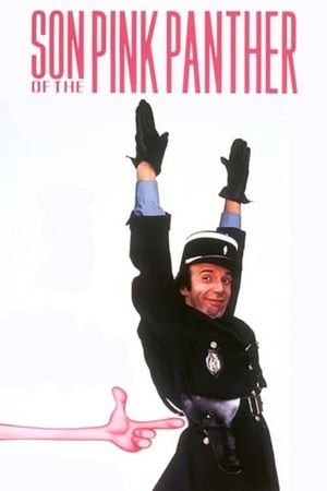 Son of the Pink Panther's poster image