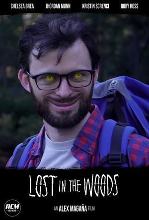 Lost In The Woods's poster image