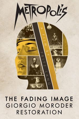 The Fading Image's poster image